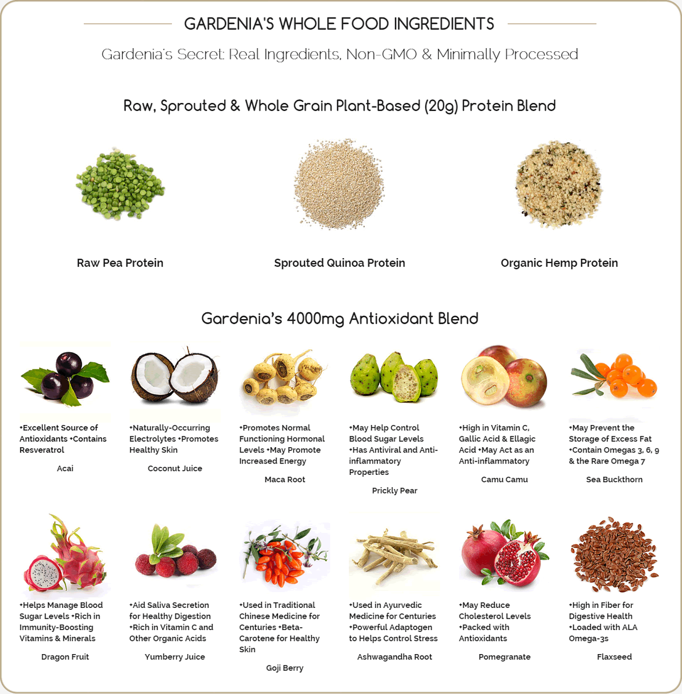 Body Nutrition Gardenia Vegan Protein Ingredients - The Protein Pick Mix UK Body Nutrition GARDENIA - Vanilla Bean Protein. Ingredients.